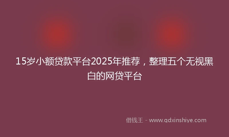 15岁小额贷款平台2025年推荐，整理五个无视黑白的网贷平台