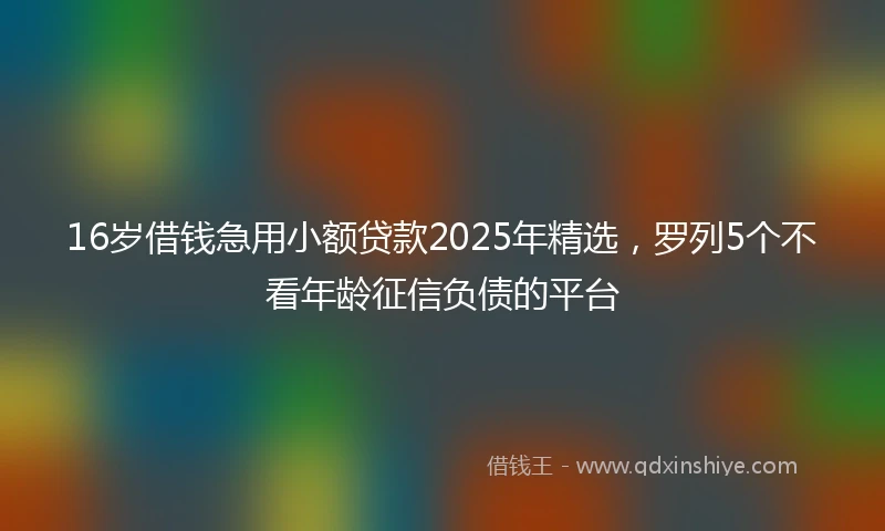 16岁借钱急用小额贷款2025年精选，罗列5个不看年龄征信负债的平台