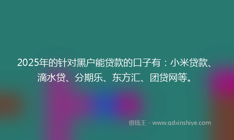 2025年的针对黑户能贷款的口子有：小米贷款、滴水贷、分期乐、东方汇、团贷网等。