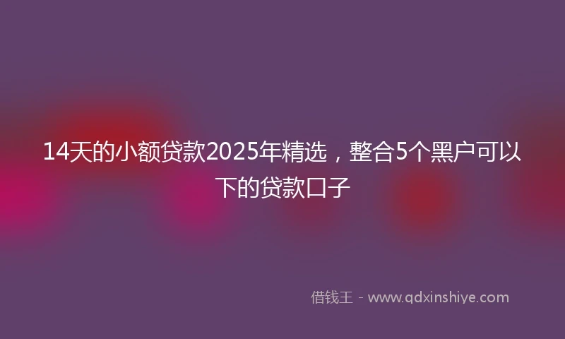 14天的小额贷款2025年精选，整合5个黑户可以下的贷款口子