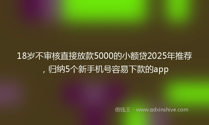 18岁不审核直接放款5000的小额贷2025年推荐，归纳5个新手机号容易下款的app