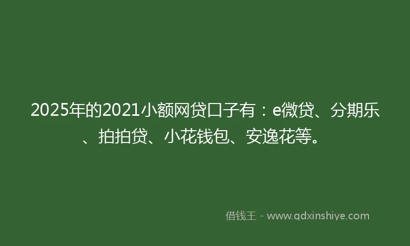 2025年的2021小额网贷口子有：e微贷、分期乐、拍拍贷、小花钱包、安逸花等。
