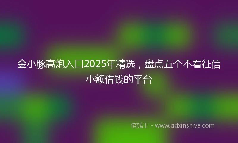 金小豚高炮入口2025年精选，盘点五个不看征信小额借钱的平台