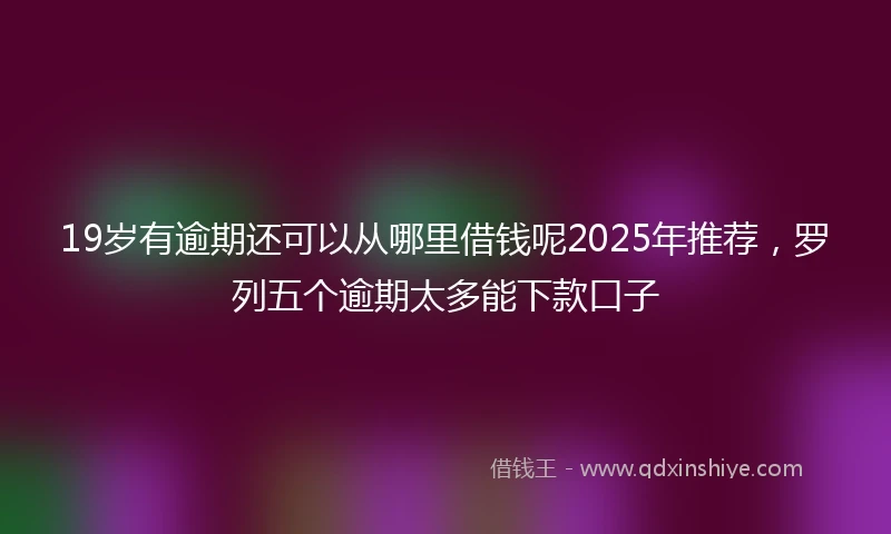 19岁有逾期还可以从哪里借钱呢2025年推荐，罗列五个逾期太多能下款口子