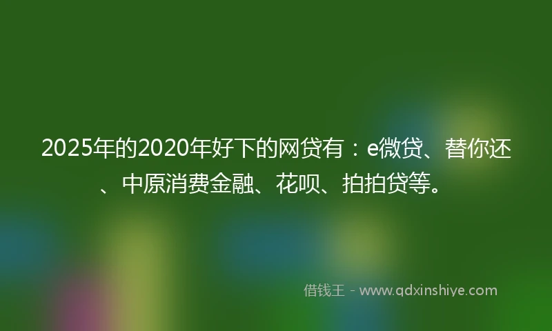 2025年的2020年好下的网贷有：e微贷、替你还、中原消费金融、花呗、拍拍贷等。
