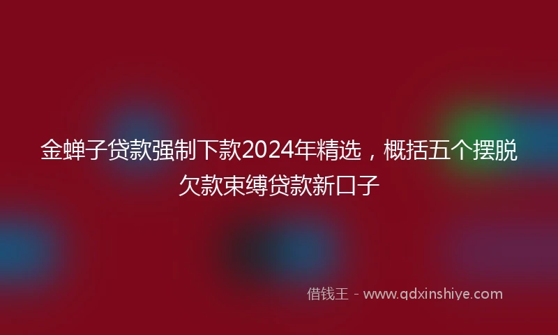 金蝉子贷款强制下款2024年精选，概括五个摆脱欠款束缚贷款新口子