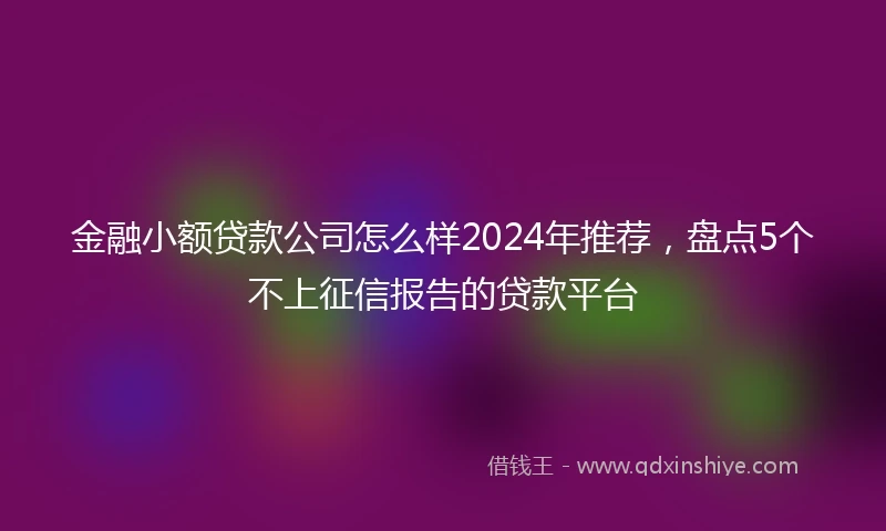 金融小额贷款公司怎么样2024年推荐，盘点5个不上征信报告的贷款平台
