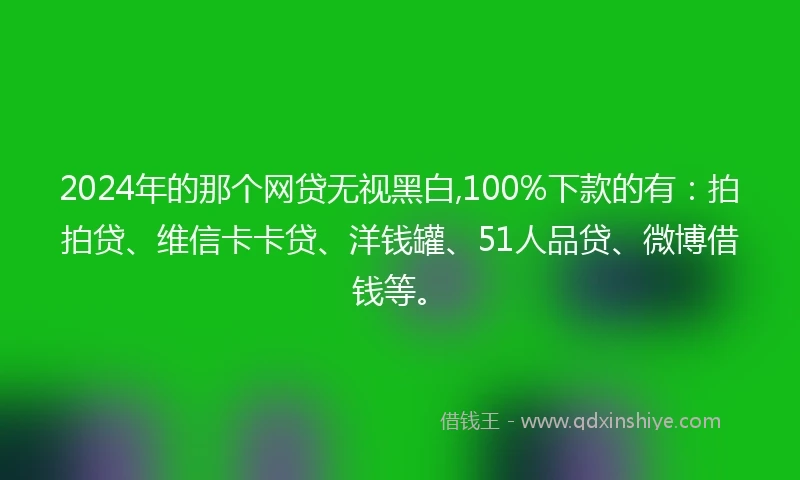 2024年的那个网贷无视黑白,100%下款的有：拍拍贷、维信卡卡贷、洋钱罐、51人品贷、微博借钱等。