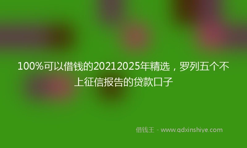 100%可以借钱的20212025年精选，罗列五个不上征信报告的贷款口子