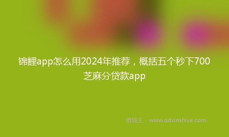 锦鲤app怎么用2024年推荐，概括五个秒下700芝麻分贷款app