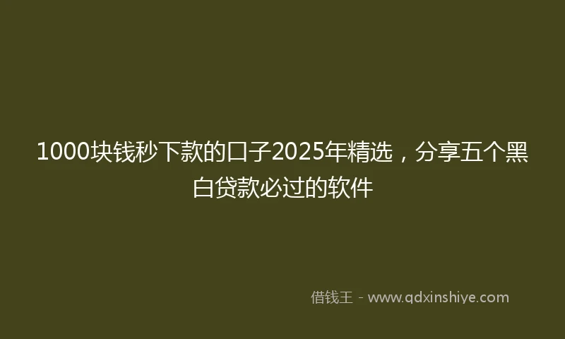 1000块钱秒下款的口子2025年精选，分享五个黑白贷款必过的软件