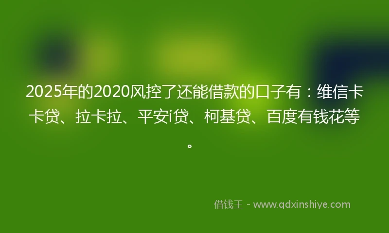 2025年的2020风控了还能借款的口子有：维信卡卡贷、拉卡拉、平安i贷、柯基贷、百度有钱花等。