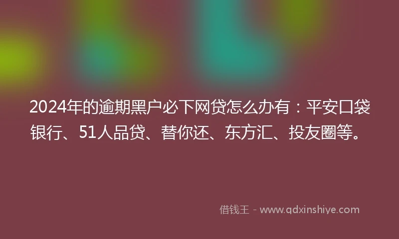 2024年的逾期黑户必下网贷怎么办有：平安口袋银行、51人品贷、替你还、东方汇、投友圈等。