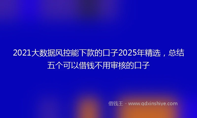 2021大数据风控能下款的口子2025年精选，总结五个可以借钱不用审核的口子