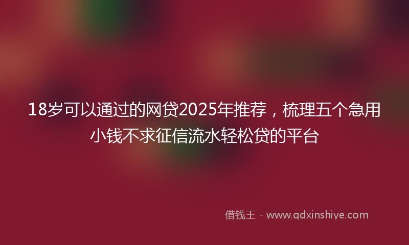 18岁可以通过的网贷2025年推荐，梳理五个急用小钱不求征信流水轻松贷的平台