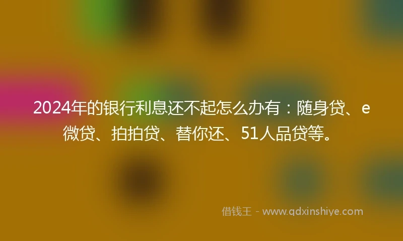 2024年的银行利息还不起怎么办有：随身贷、e微贷、拍拍贷、替你还、51人品贷等。