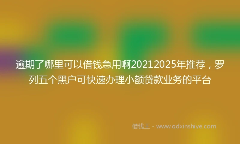 逾期了哪里可以借钱急用啊20212025年推荐，罗列五个黑户可快速办理小额贷款业务的平台