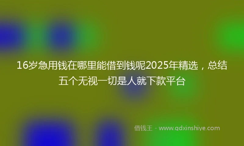 16岁急用钱在哪里能借到钱呢2025年精选，总结五个无视一切是人就下款平台