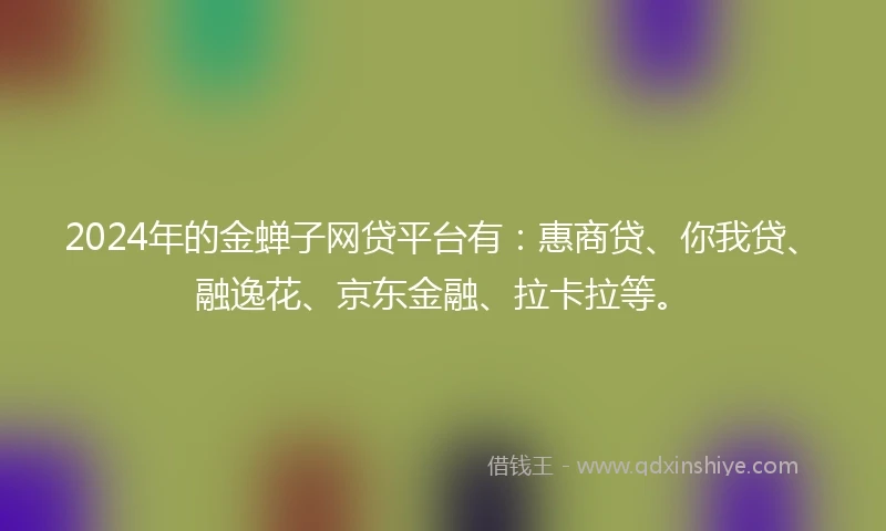 2024年的金蝉子网贷平台有：惠商贷、你我贷、融逸花、京东金融、拉卡拉等。