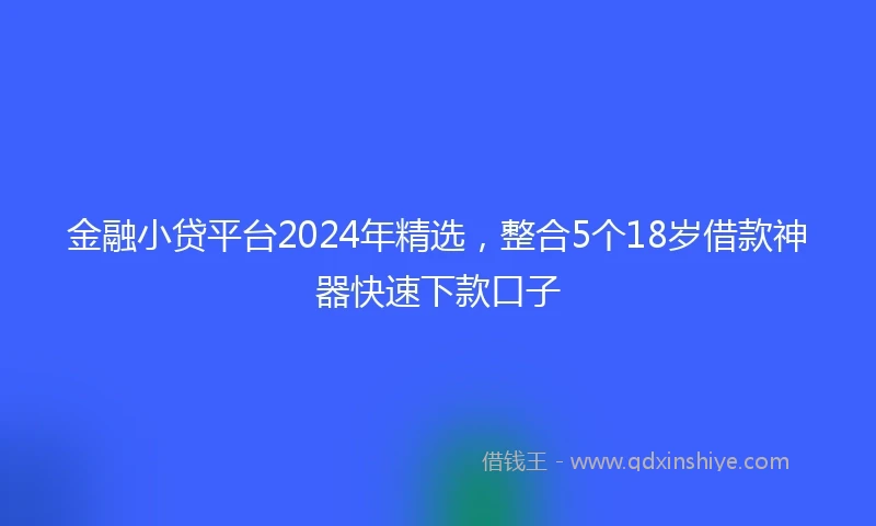 金融小贷平台2024年精选，整合5个18岁借款神器快速下款口子