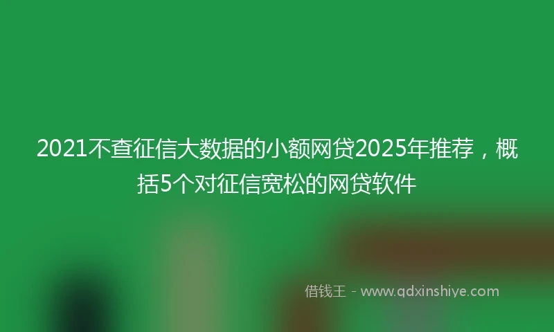2021不查征信大数据的小额网贷2025年推荐，概括5个对征信宽松的网贷软件