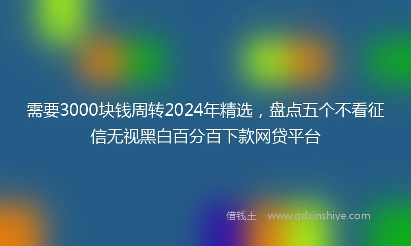 需要3000块钱周转2024年精选，盘点五个不看征信无视黑白百分百下款网贷平台