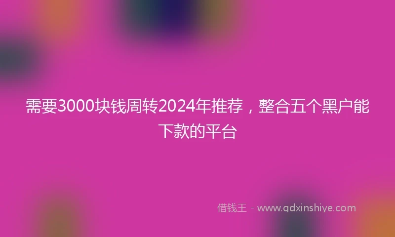 需要3000块钱周转2024年推荐，整合五个黑户能下款的平台