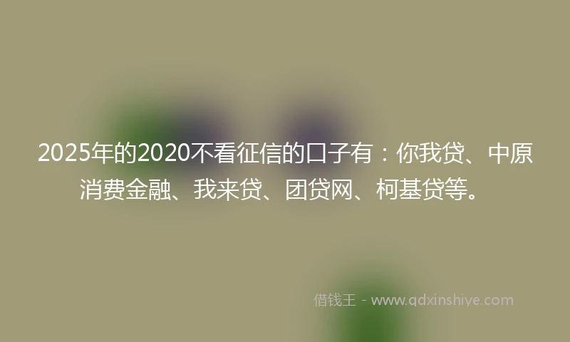 2025年的2020不看征信的口子有：你我贷、中原消费金融、我来贷、团贷网、柯基贷等。