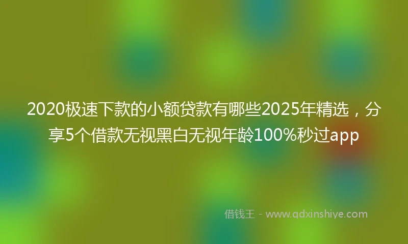 2020极速下款的小额贷款有哪些2025年精选，分享5个借款无视黑白无视年龄100%秒过app