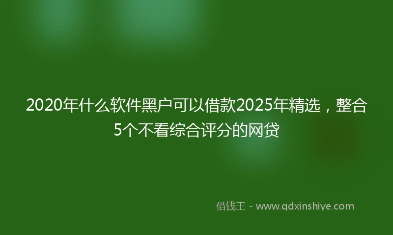 2020年什么软件黑户可以借款2025年精选，整合5个不看综合评分的网贷