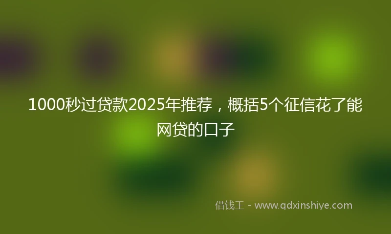 1000秒过贷款2025年推荐，概括5个征信花了能网贷的口子