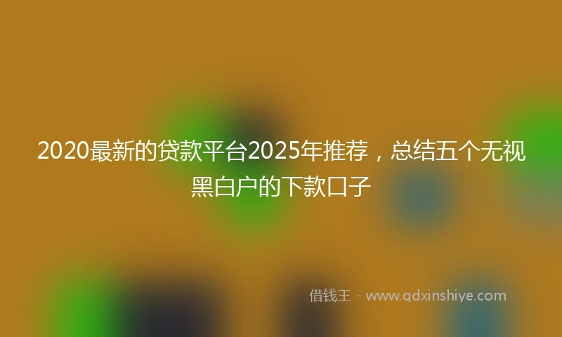 2020最新的贷款平台2025年推荐，总结五个无视黑白户的下款口子