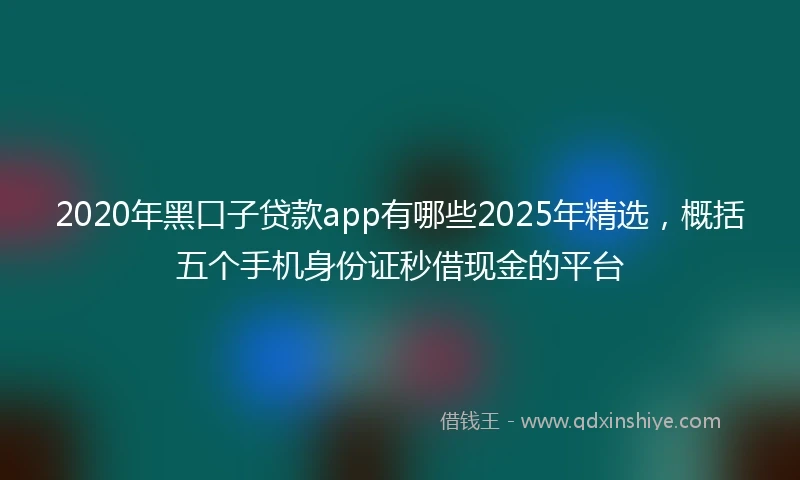 2020年黑口子贷款app有哪些2025年精选，概括五个手机身份证秒借现金的平台