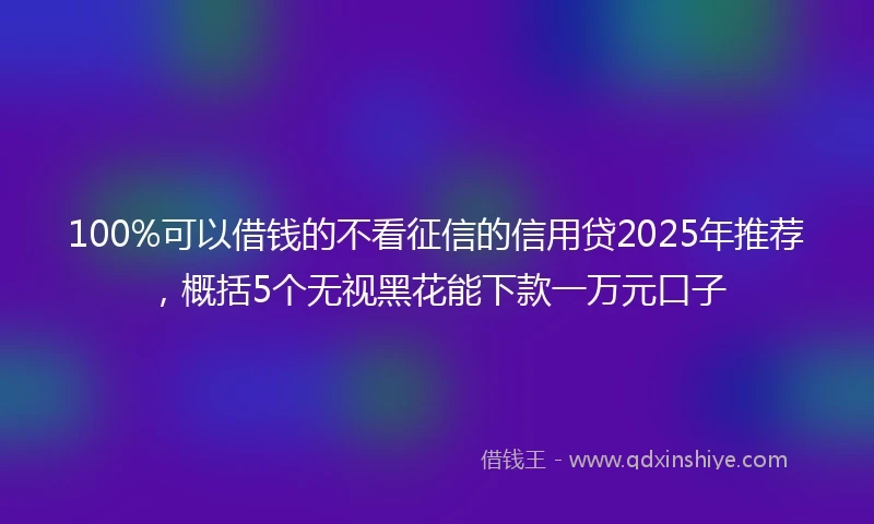 100%可以借钱的不看征信的信用贷2025年推荐，概括5个无视黑花能下款一万元口子