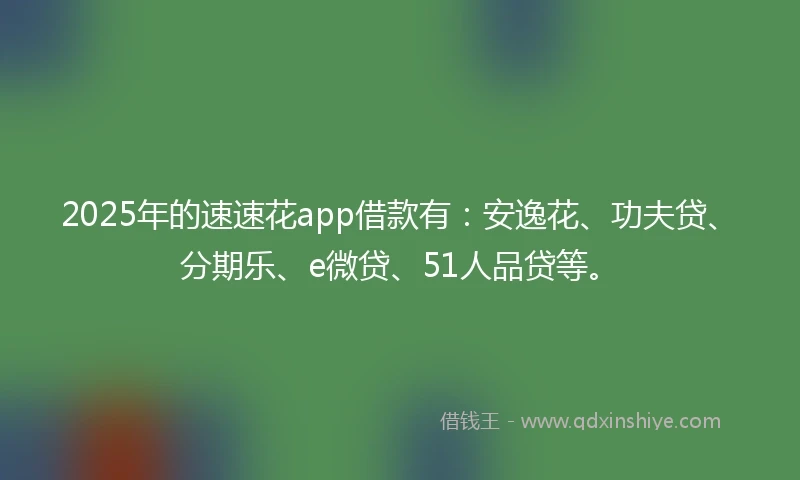 2025年的速速花app借款有：安逸花、功夫贷、分期乐、e微贷、51人品贷等。