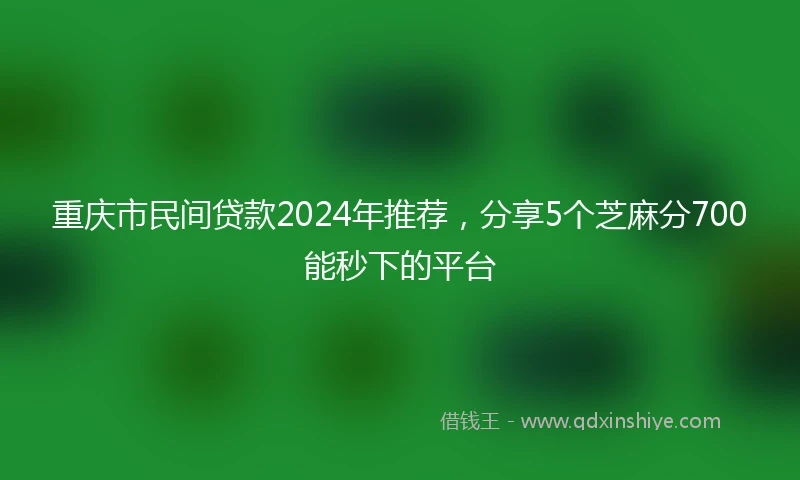 重庆市民间贷款2024年推荐，分享5个芝麻分700能秒下的平台
