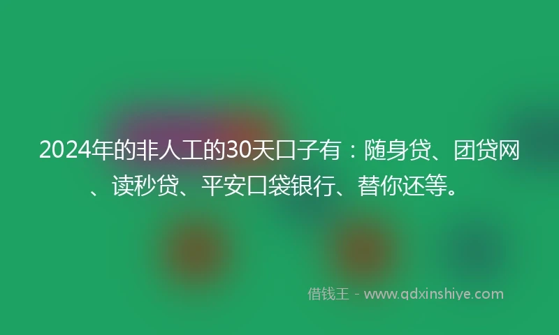 2024年的非人工的30天口子有：随身贷、团贷网、读秒贷、平安口袋银行、替你还等。