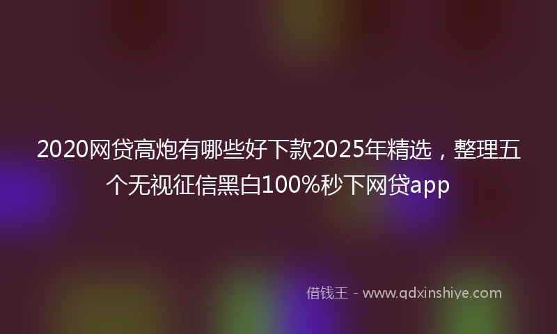 2020网贷高炮有哪些好下款2025年精选，整理五个无视征信黑白100%秒下网贷app