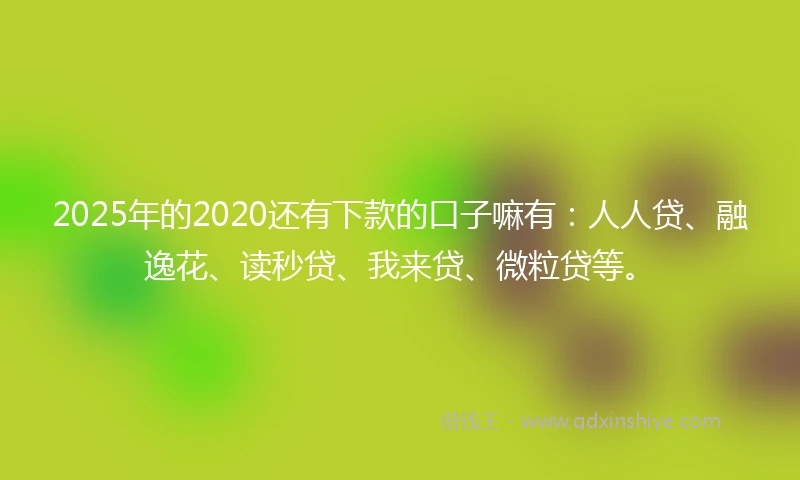 2025年的2020还有下款的口子嘛有：人人贷、融逸花、读秒贷、我来贷、微粒贷等。