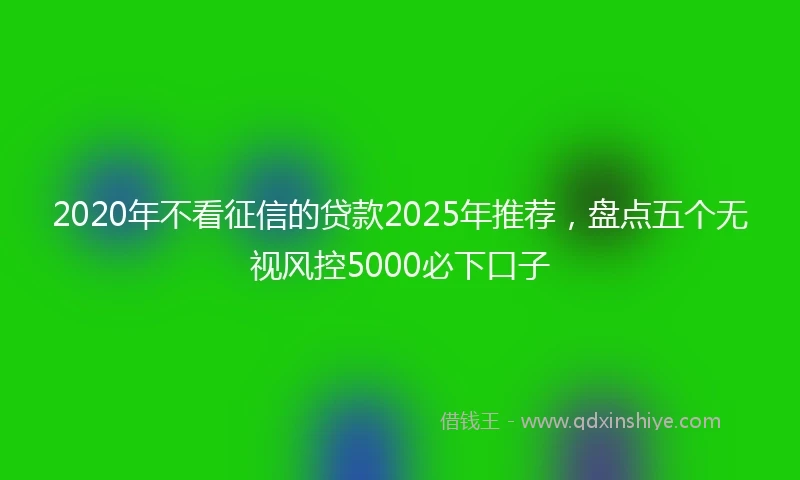 2020年不看征信的贷款2025年推荐，盘点五个无视风控5000必下口子