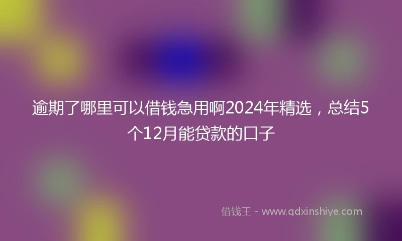 逾期了哪里可以借钱急用啊2024年精选，总结5个12月能贷款的口子