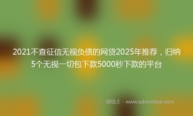 2021不查征信无视负债的网贷2025年推荐，归纳5个无视一切包下款5000秒下款的平台