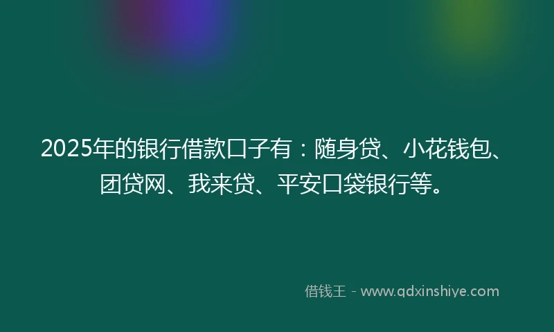2025年的银行借款口子有：随身贷、小花钱包、团贷网、我来贷、平安口袋银行等。