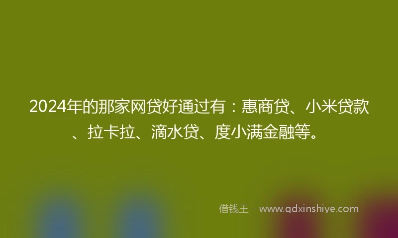 2024年的那家网贷好通过有：惠商贷、小米贷款、拉卡拉、滴水贷、度小满金融等。