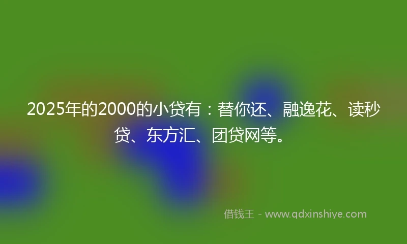 2025年的2000的小贷有：替你还、融逸花、读秒贷、东方汇、团贷网等。