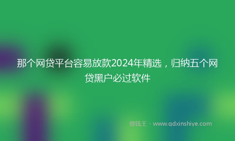 那个网贷平台容易放款2024年精选，归纳五个网贷黑户必过软件