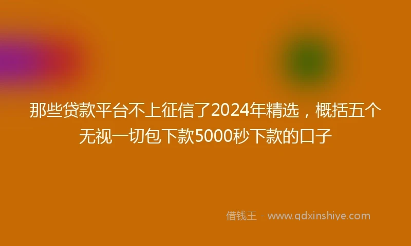 那些贷款平台不上征信了2024年精选，概括五个无视一切包下款5000秒下款的口子