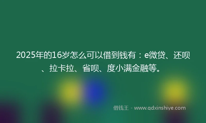 2025年的16岁怎么可以借到钱有：e微贷、还呗、拉卡拉、省呗、度小满金融等。