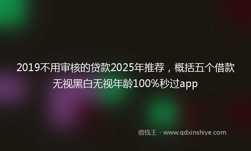 2019不用审核的贷款2025年推荐，概括五个借款无视黑白无视年龄100%秒过app
