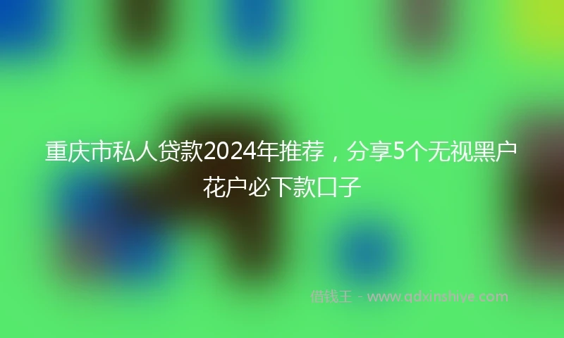 重庆市私人贷款2024年推荐，分享5个无视黑户花户必下款口子
